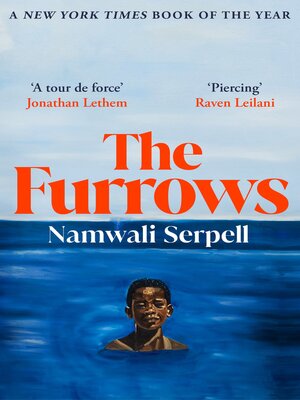 cover image of The Furrows